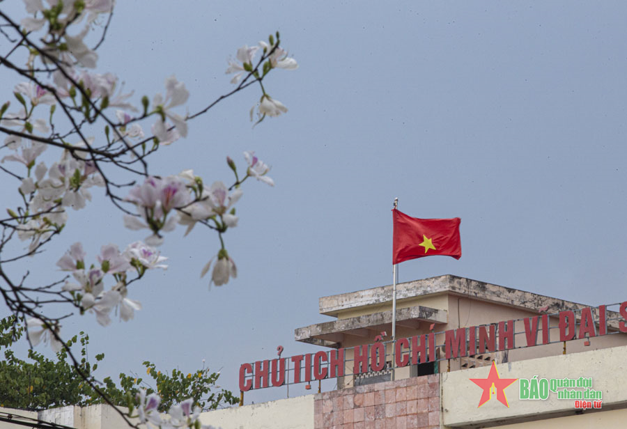 Điện Biên: Sắc trắng hoa ban trước thềm lễ hội